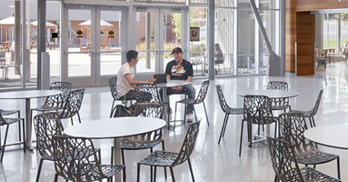 Symbiosis Cafe